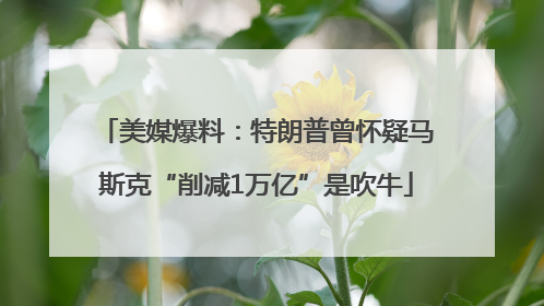 美媒爆料：特朗普曾怀疑马斯克“削减1万亿”是吹牛