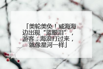 美轮美奂！威海海边出现“蓝眼泪”，游客：海浪打过来，就像星河一样