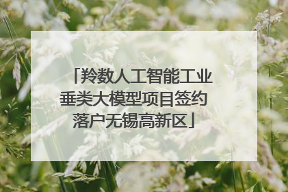 羚数人工智能工业垂类大模型项目签约落户无锡高新区
