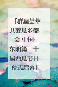 群星荟萃共襄瓜乡盛会 中国·东明第二十届西瓜节开幕式启幕