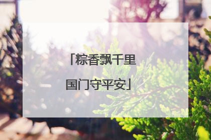 粽香飘千里 国门守平安