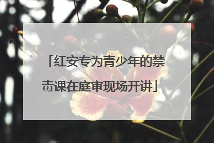 红安专为青少年的禁毒课在庭审现场开讲