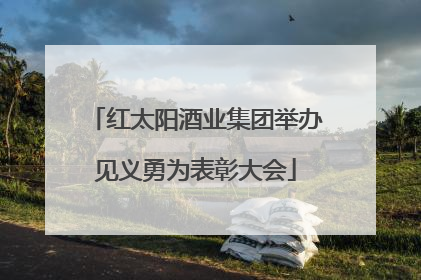 红太阳酒业集团举办见义勇为表彰大会