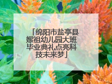 绵阳市盐亭县嫘祖幼儿园大班毕业典礼点亮科技未来梦