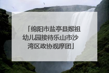 绵阳市盐亭县嫘祖幼儿园接待乐山市沙湾区政协观摩团