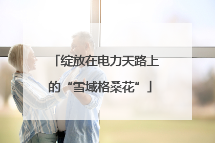 绽放在电力天路上的“雪域格桑花”