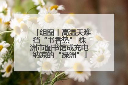 组图丨高温天难挡“书香热” 株洲市图书馆成充电纳凉的“绿洲”