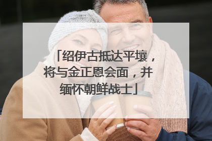 绍伊古抵达平壤，将与金正恩会面，并缅怀朝鲜战士