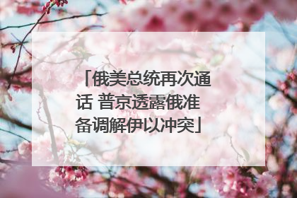 俄美总统再次通话 普京透露俄准备调解伊以冲突