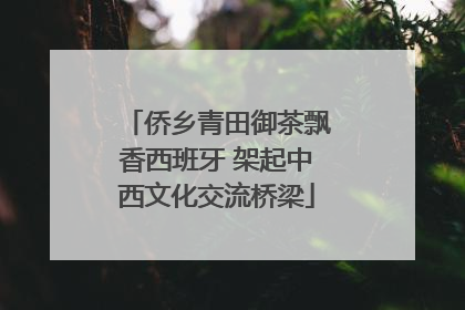侨乡青田御茶飘香西班牙 架起中西文化交流桥梁