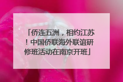侨连五洲，相约江苏！中国侨联海外联谊研修班活动在南京开班