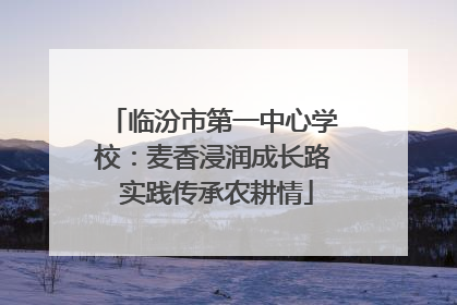 临汾市第一中心学校：麦香浸润成长路 实践传承农耕情