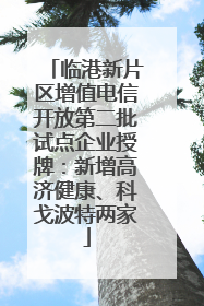 临港新片区增值电信开放第二批试点企业授牌：新增高济健康、科戈波特两家