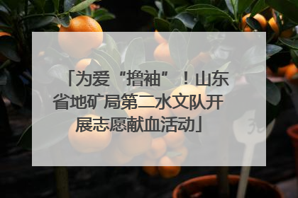 为爱“撸袖”！山东省地矿局第二水文队开展志愿献血活动