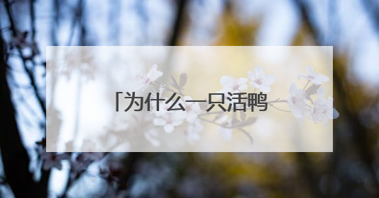 为什么一只活鸭上百元，一只烤鸭只要25元？