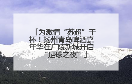 为激情“苏超”干杯！扬州青岛啤酒嘉年华在广陵新城开启“足球之夜”