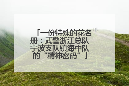 一份特殊的花名册：武警浙江总队宁波支队镇海中队的“精神密码”