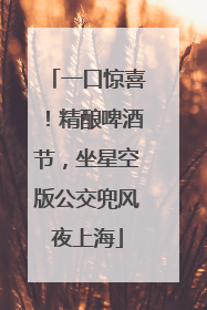 一口惊喜！精酿啤酒节，坐星空版公交兜风夜上海