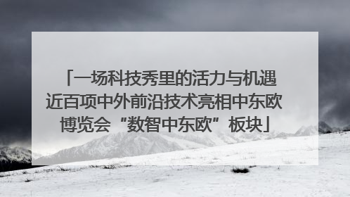 一场科技秀里的活力与机遇 近百项中外前沿技术亮相中东欧博览会“数智中东欧”板块