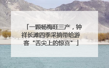 一颗杨梅旺三产，钟祥长滩四季采摘带给游客“舌尖上的惊喜”