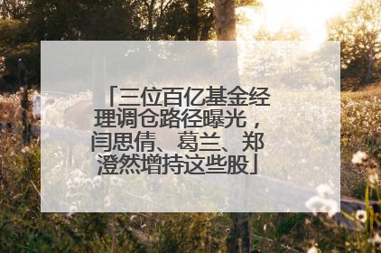 三位百亿基金经理调仓路径曝光，闫思倩、葛兰、郑澄然增持这些股