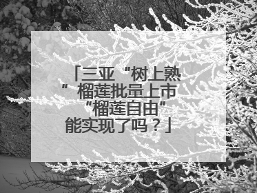 三亚“树上熟”榴莲批量上市 “榴莲自由”能实现了吗？