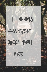 三亚亚特兰蒂斯多样海洋生物引客来