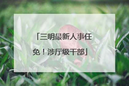 三明最新人事任免！涉厅级干部