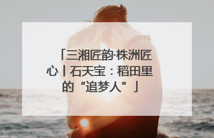 三湘匠韵·株洲匠心丨石天宝：稻田里的“追梦人”