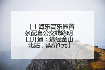 上海乐高乐园首条配套公交线路明日开通：途经金山北站，票价1元