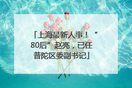 上海最新人事！“80后”赵亮，已任普陀区委副书记