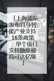 上海浦东发布具身智能产业支持16条政策：单个项目支持额度最高可达亿级