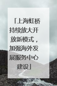 上海虹桥持续放大开放新模式，加强海外发展服务中心建设