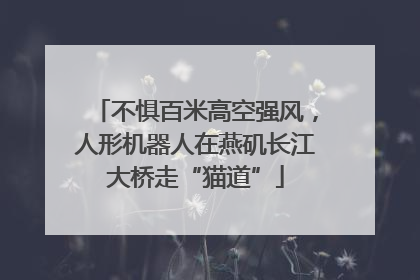 不惧百米高空强风，人形机器人在燕矶长江大桥走“猫道”