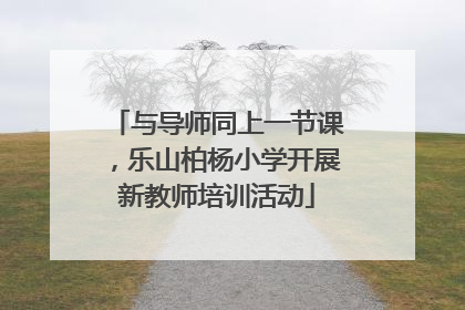 与导师同上一节课，乐山柏杨小学开展新教师培训活动