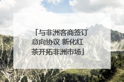 与非洲客商签订意向协议 新化红茶开拓非洲市场