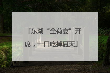 东湖“全荷宴”开席，一口吃掉夏天