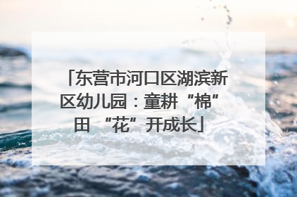 东营市河口区湖滨新区幼儿园：童耕“棉”田 “花”开成长