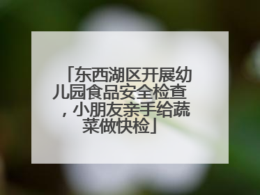 东西湖区开展幼儿园食品安全检查，小朋友亲手给蔬菜做快检