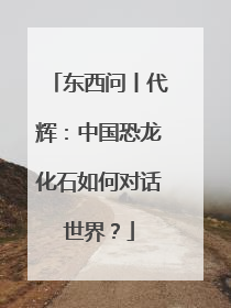 东西问丨代辉：中国恐龙化石如何对话世界？
