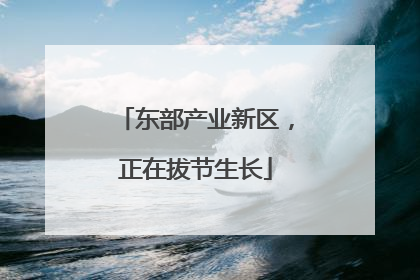 东部产业新区，正在拔节生长