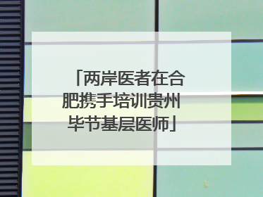 两岸医者在合肥携手培训贵州毕节基层医师