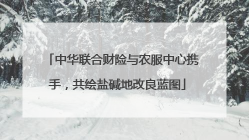 中华联合财险与农服中心携手，共绘盐碱地改良蓝图