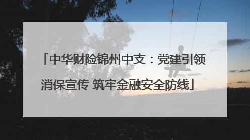 中华财险锦州中支：党建引领消保宣传 筑牢金融安全防线
