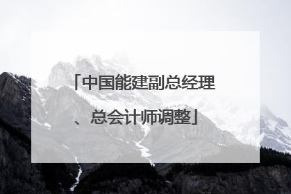 中国能建副总经理、总会计师调整
