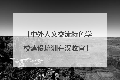 中外人文交流特色学校建设培训在汉收官