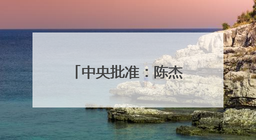 中央批准：陈杰任上海市委常委
