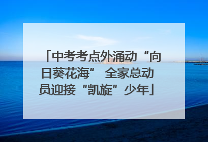 中考考点外涌动“向日葵花海” 全家总动员迎接“凯旋”少年