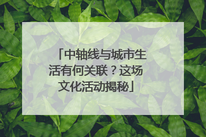 中轴线与城市生活有何关联？这场文化活动揭秘