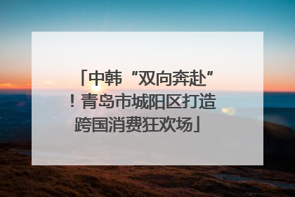 中韩“双向奔赴”！青岛市城阳区打造跨国消费狂欢场